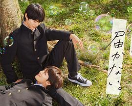 国产真实伦视频在线观看